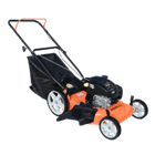 Cortadora de césped Pampa Pro GHA320650